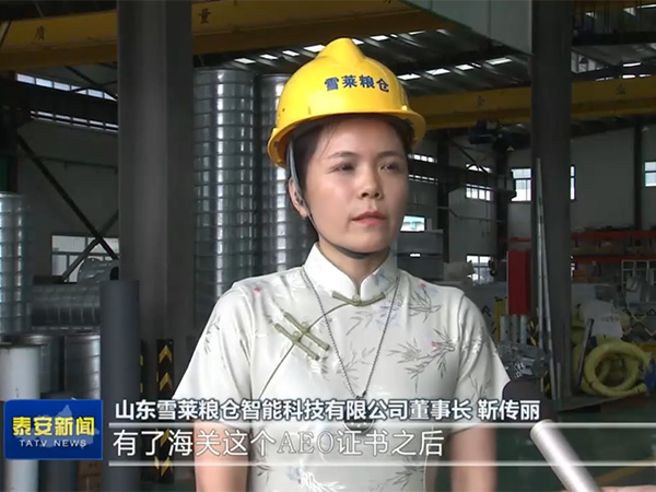 緊跟政策風(fēng)向，把握跨海之帆-雪萊將以滿腔熱情讓世界愛上中國(guó)造